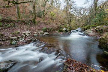 Long exposure of the river Horner flowing through Horner woods in Somerset