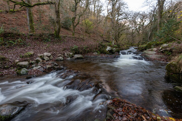 Long exposure of the river Horner flowing through Horner woods in Somerset