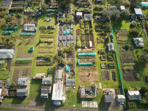 Overhead view of allotment gardens in Hull, UK