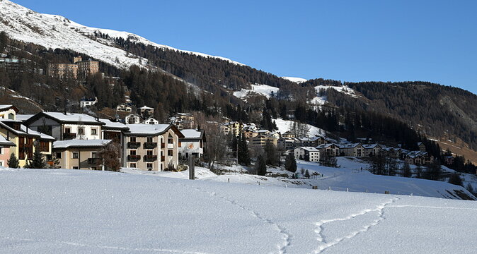 Engadine