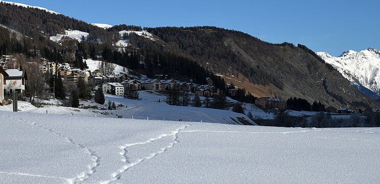 Engadine