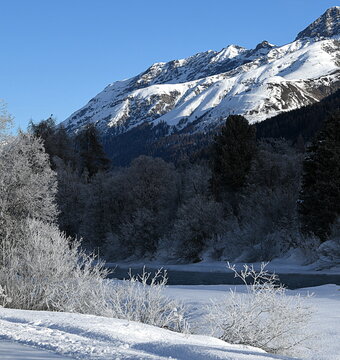 Engadine