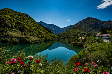 Fototapete bei efototapeten.de bestellen   