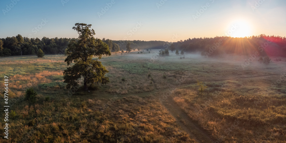 Canvas Prints Wide panorama of rising sun illuminating small valley with a light fog. Bright morning photo of countryside