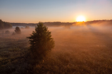 Bright photo of valley in fog and a rising sun. Morning landscape in the countryside