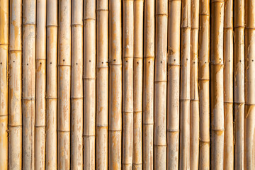 vertically arranged bamboo trunks. yellow old bamboo background