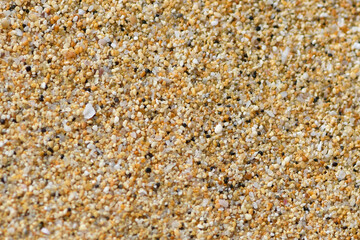 Beach sand close up view