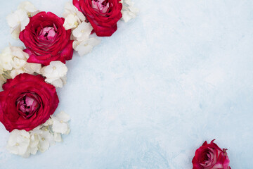 Floral flat lay with red roses and fresh white hydrangea on light blue background with copy space