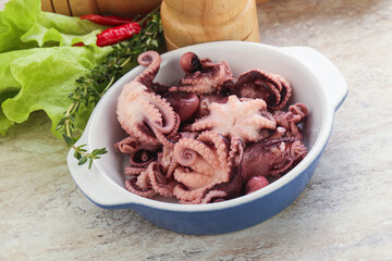 Marinated baby octopus seafood in the bowl