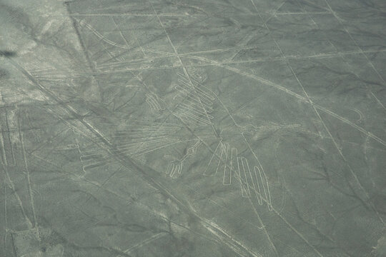Aerial views of the Nasca Lines , Nasca, Peru