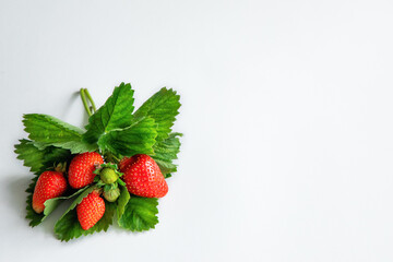 Red strawberries on white background