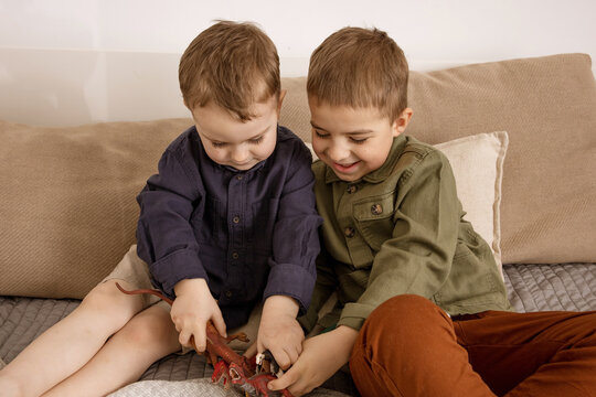 Two little and cute caucasian boys playing with dinosaurs at home. Interior and clothes in natural earth colors. Cozy environment. Children having fun with toys, two friends.