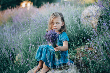 Little girl 3-4 with dark hair in denim dress sits on stone among large bushes of lilac lavender,...