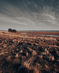 sunrise on the marsh