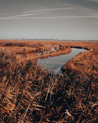 sunrise over the river