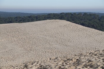 Dune du Pyla au bassin d’Arcachon, la plus haute dune d’Europe