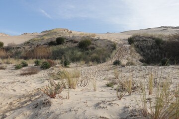 Dune du Pyla au bassin d’Arcachon, la plus haute dune d’Europe