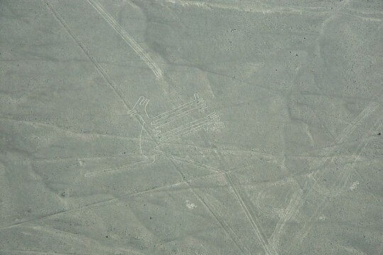 Views of Nasca lines from the air