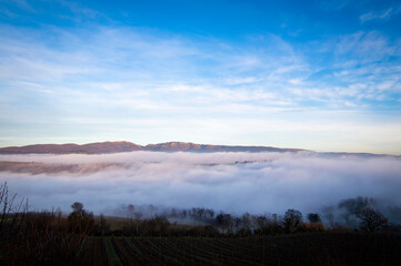 Layers of fog color a winter day