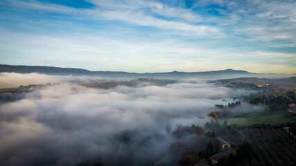 Layers of fog color a winter day