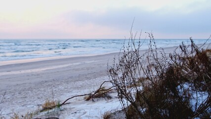 Rough Baltic Sea with High Waves Observed from Shore Cliff Slope Covered in Snow Overgrown with Withered Dried Grass and Shrubs moved by Wind on Cold Winter Day	