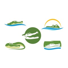 crocodile vector illustration design template