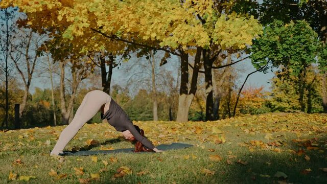 Young woman practices upper and down facing dog poses in autumn park on a mat. Sunny autumn day in a city park. Sporty girl going yoga outdoors. High quality 4k footage