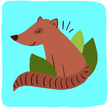 coati hand drawing animal vector 