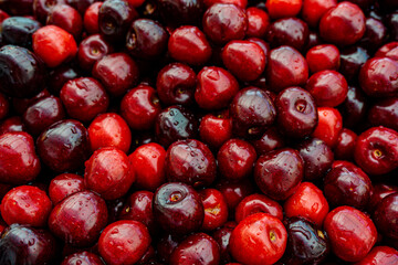 Background of fresh beautiful red cherries