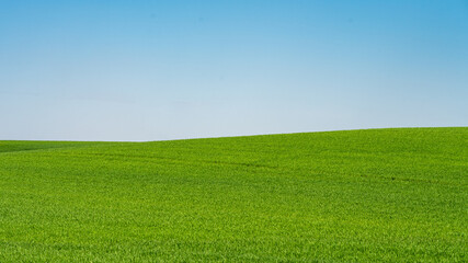 Obraz na płótnie Canvas Green meadows with blue sky and clouds background