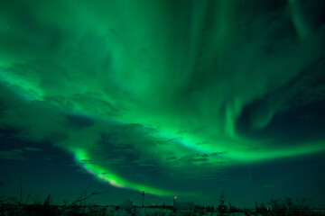 The sky is full of northern lights and aurora borealis with a few clouds. The foreground is trees and shrubs. Near Churchill, Manitoba, Canada