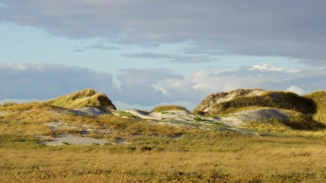 The dunes and Wadden Sea at St Peter Ording Germany - travel photography