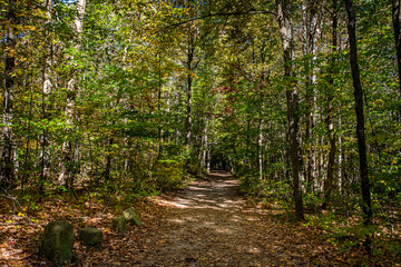 Autumn Leaf Color Change Cuyahoga National Park Ohio