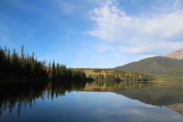 reflection of trees in the lake, Jasper National Park, Alberta