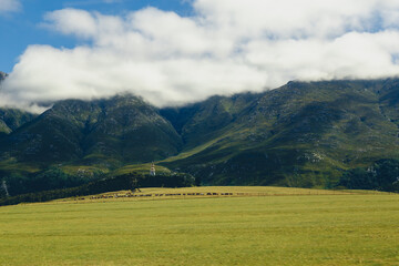 Fototapeta premium landscape in Africa