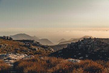 Landscape at the sunset