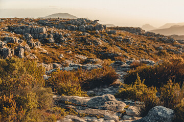 Landscape at the sunset
