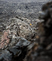 tourist hiking in the Icelandic highlands with petrified old  lava flow