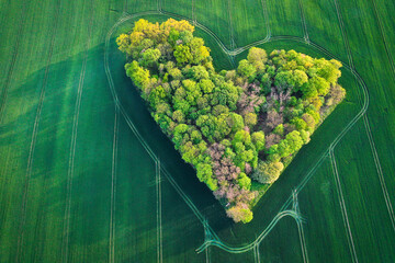 A heart, a grove, a field, Valentine's Day