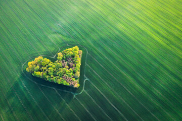 A heart, a grove, a field, Valentine's Day