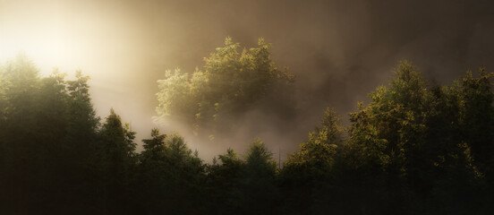 Naklejka na ściany i meble Green tree forest with fog on a mountain. 3d Rendering Artwork. Sunset or Sunrise Glow. Nature Background