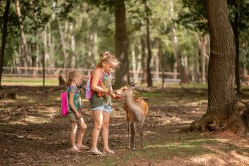 two girls feed a little fawn