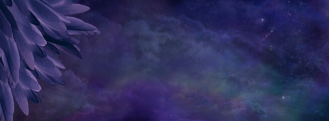 Dark feathers and dark night sky background banner - long thin deep purple feathers in left corner...