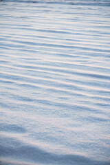 winter, snow on the field, background, winter background, snowy texture