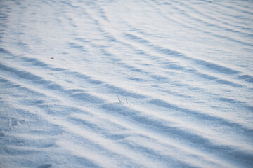 winter, snow on the field, background, winter background, snowy texture