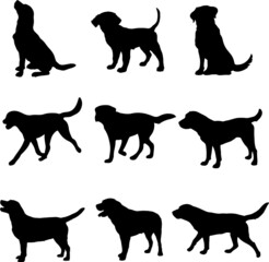 Labrador Dog Silhouette Pack