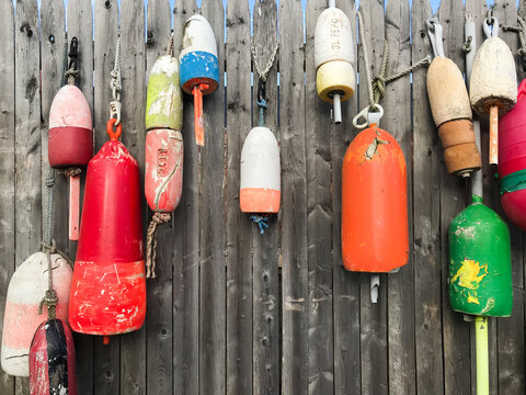 Colorful lobster buoys tied to a wooden fence in a fishing village in Maine, USA