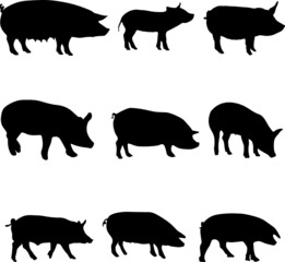 Pigs Silhouette Pack