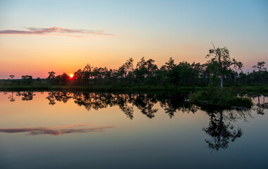 Naklejka premium gorgeous sunset on a bog lake in estonia