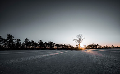 winter bog view in Estonia
